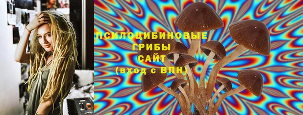 эйфоретик Алзамай