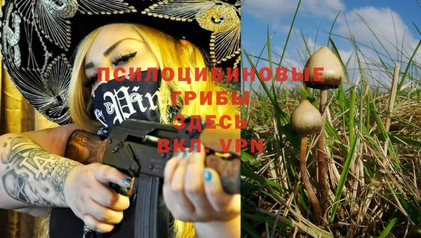 гашиш Белая Холуница
