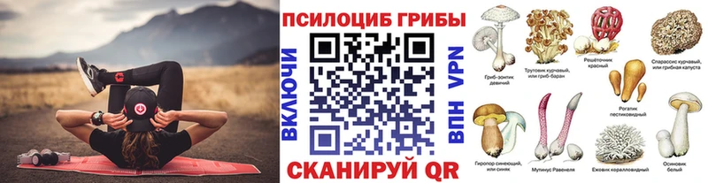 Галлюциногенные грибы Psilocybe  закладки  Себеж 